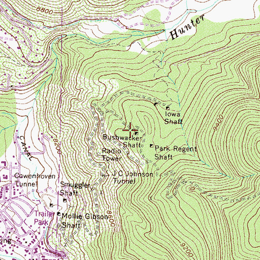 Topographic Map of Bushwacker Shaft, CO
