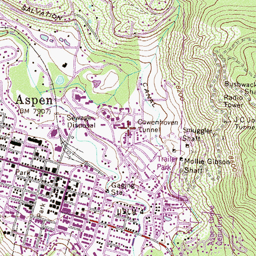 Topographic Map of Cowenhoven Tunnel, CO
