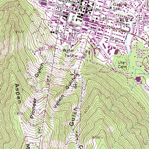 Topographic Map of Vallejo Gulch, CO