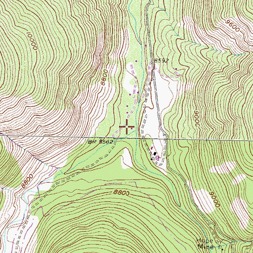 Topographic Map of Conundrum Creek, CO