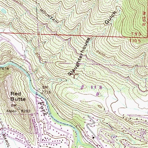 Topographic Map of Castle Creek, CO