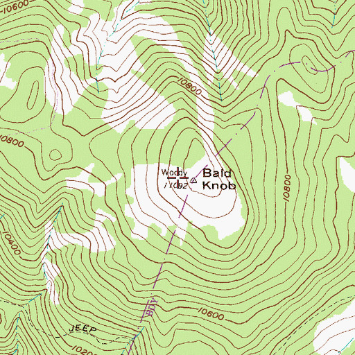 Topographic Map of Bald Knob, CO