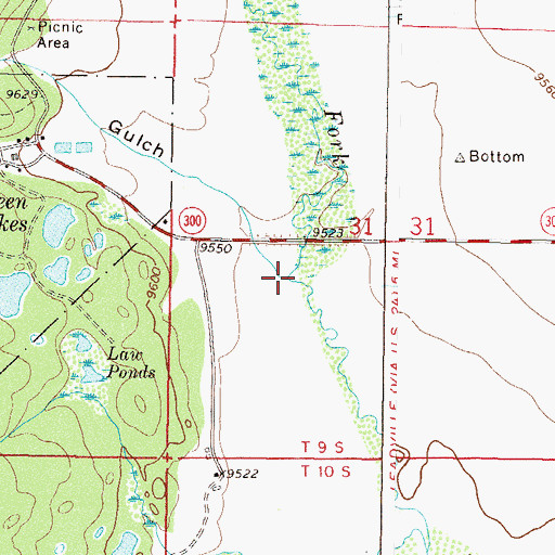 Topographic Map of Hunt Gulch, CO