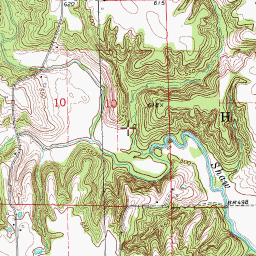 Topographic Map of Big Hollow, IL