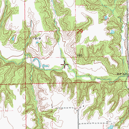 Topographic Map of Ramsey Branch, IL