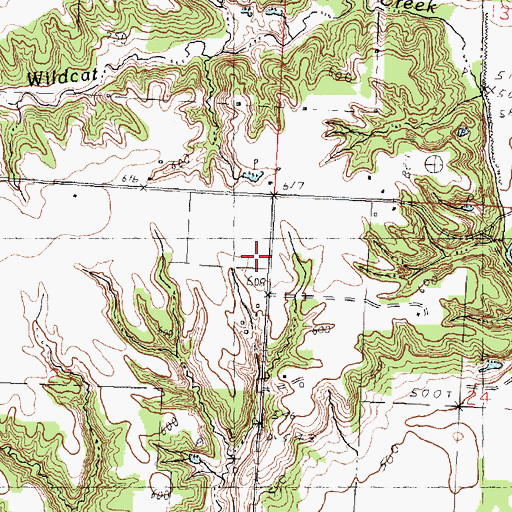 Topographic Map of Ford School (historical), IL