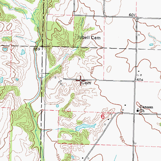 Topographic Map of Brackenbush Cemetery, IL