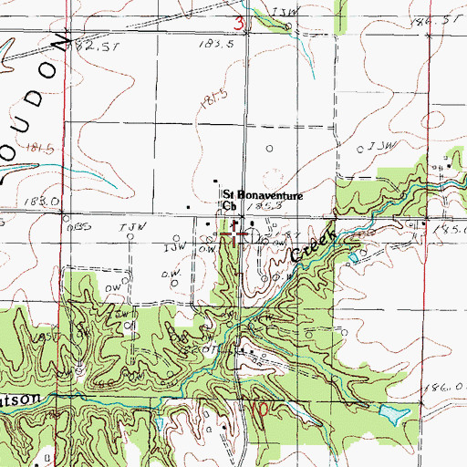 Topographic Map of Saint Bonaventure Cemetery, IL