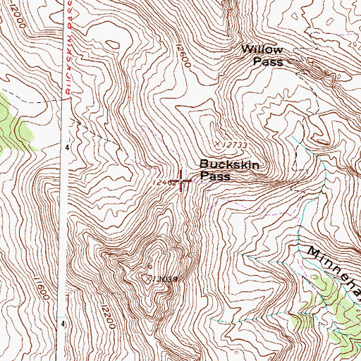 Topographic Map of Buckskin Pass, CO