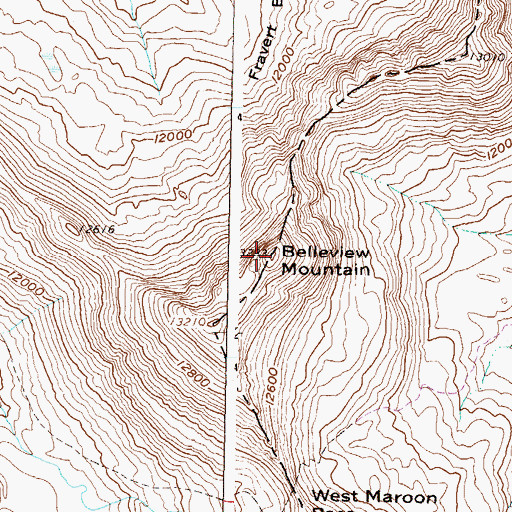 Topographic Map of Belleview Mountain, CO