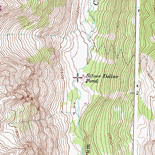 Topographic Map of Silver Dollar Pond, CO