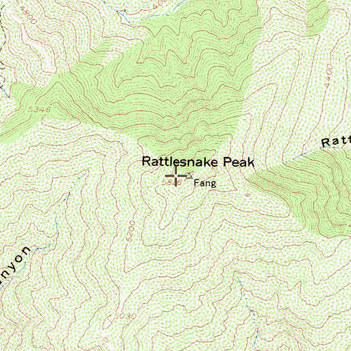 Topographic Map of Rattlesnake Peak, CA