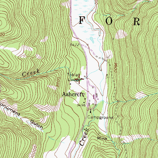 Topographic Map of Toklat Lodge, CO