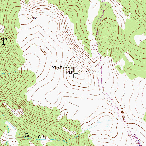 Topographic Map of McArthur Mountain, CO