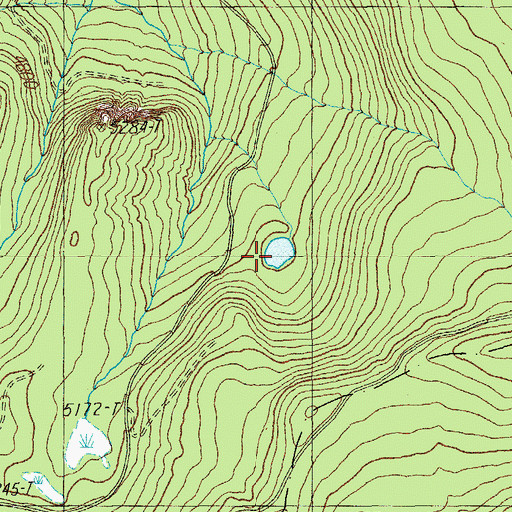Topographic Map of Bug Lake, OR