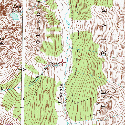 Topographic Map of Galena Creek, CO