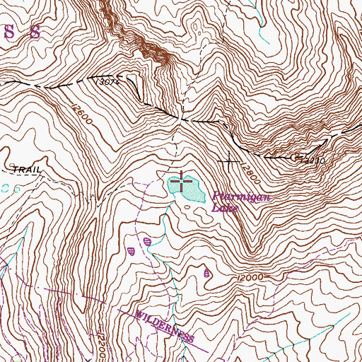 Topographic Map of Tellurium Lake, CO