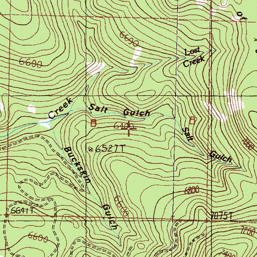 Topographic Map of Immaculate Conception Cemetery, MT