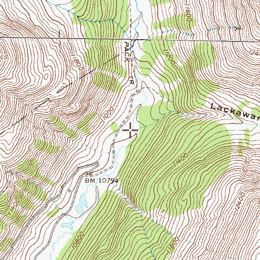 Topographic Map of Lackawanna Gulch, CO