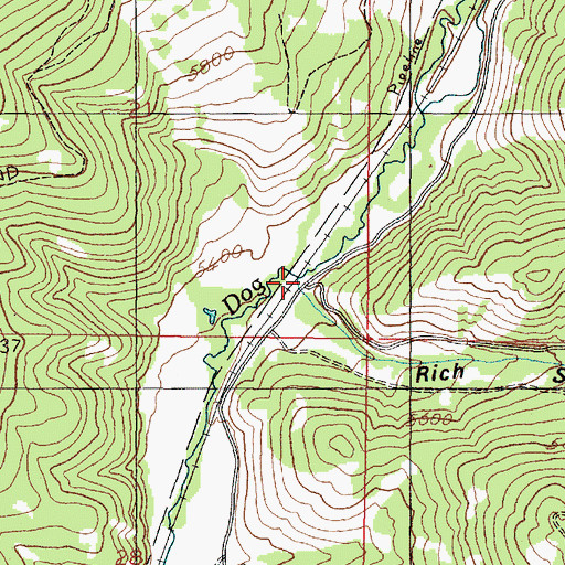 Topographic Map of Rich (historical), MT