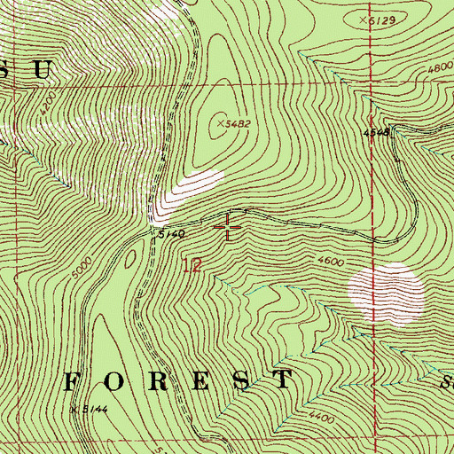 Topographic Map of Kaniksu National Forest, MT