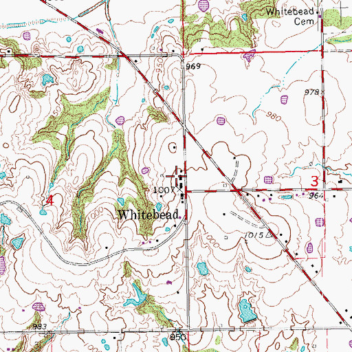 Topographic Map of Whitebead Public Schools, OK
