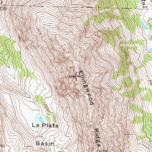 Topographic Map of Ellingwood Ridge, CO