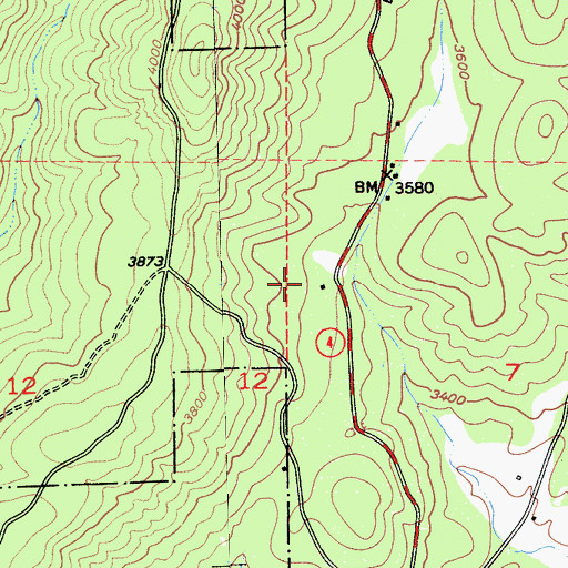 Topographic Map of Camp Forty-Niner, CA