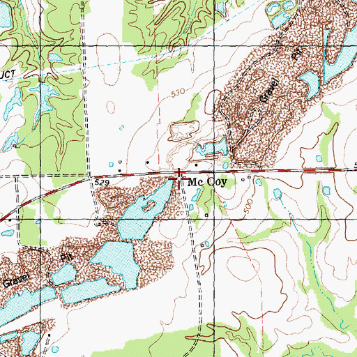 Topographic Map of McCoy, TX