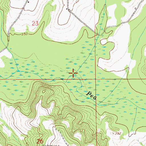 Topographic Map of Beaver Branch, AL