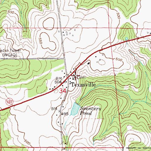 Topographic Map of Texasville Cemetery, AL