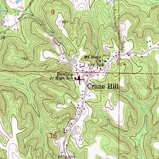 Topographic Map of Dowling Memorial Park, AL