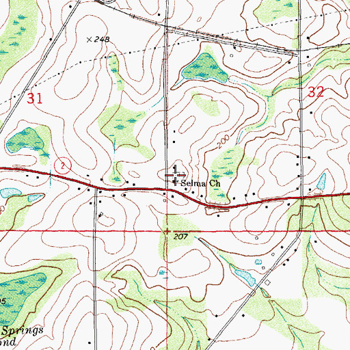 Topographic Map of Selma Church, FL