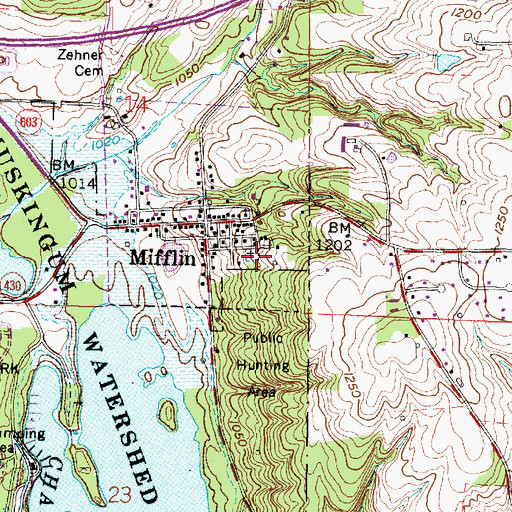 Topographic Map of Mifflin Cemetery, OH