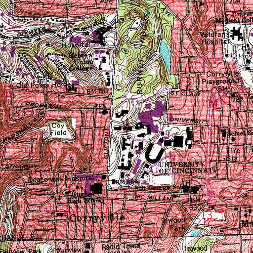 Topographic Map of Braunstein Hall, OH