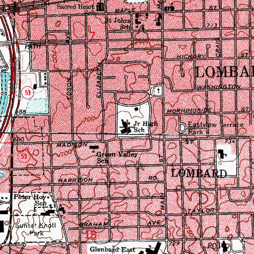 Topographic Map of Madison Elementary School, IL