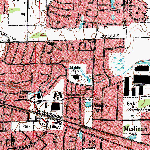 Topographic Map of Medinah Middle School, IL
