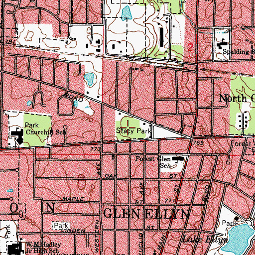 Topographic Map of Stacy Woods, IL