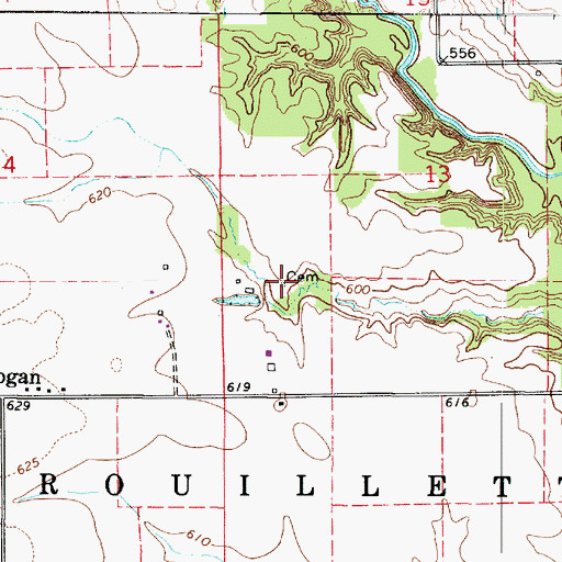 Topographic Map of Igo Cemetery, IL