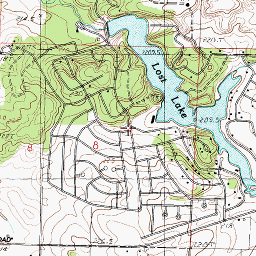 Topographic Map of Lost Nation, IL