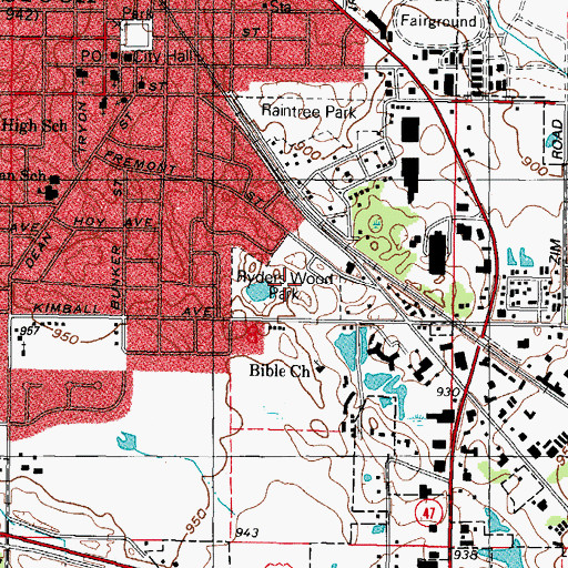 Topographic Map of Ryders Wood Park, IL