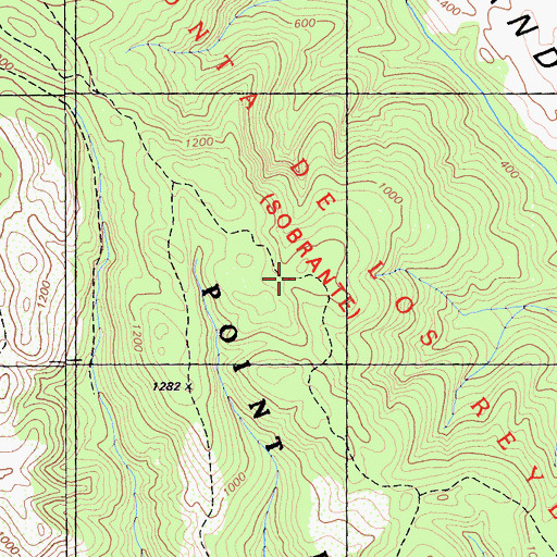 Topographic Map of Ridge Trail, CA