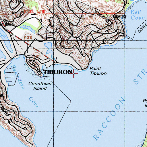 Topographic Map of Elephant Rock, CA