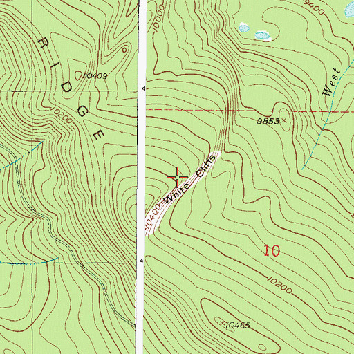 Topographic Map of White Cliffs, CO