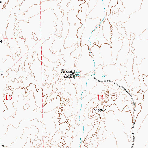 Topographic Map of Boney Lake, AZ