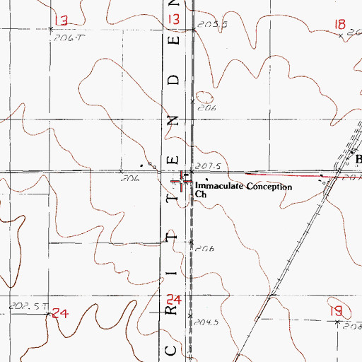 Topographic Map of Immaculate Conception Cemetery, IL