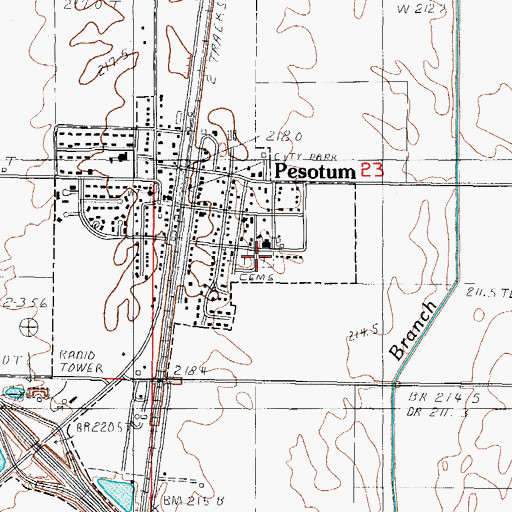 Topographic Map of Pesotum Cemetery, IL