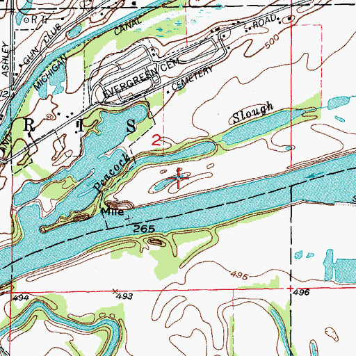 Topographic Map of Peacocks Island, IL