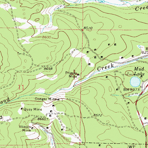 Topographic Map of Primos Mine, CO
