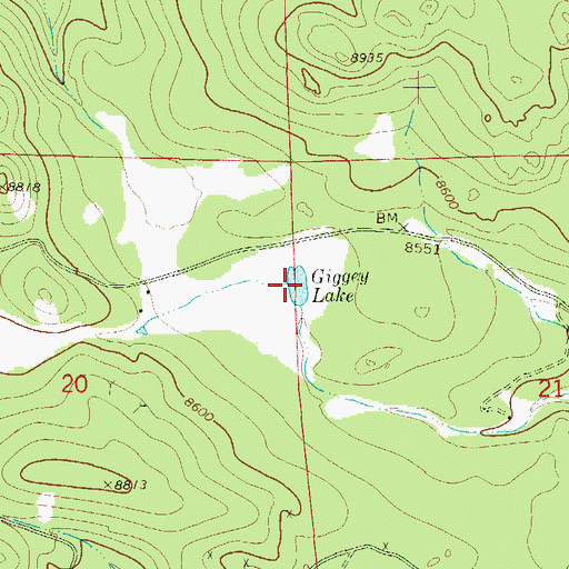 Topographic Map of Giggey Lake, CO